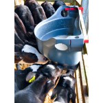 Milk bar voor 10 kalveren (60 liter)