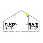 Roofvliegen (50m2)