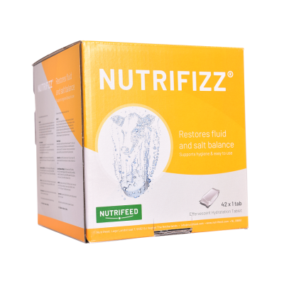 Nutrifizz (42 bruistabletten)
