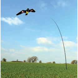 Last van vogels? Verjaag vogels met een vlieger!