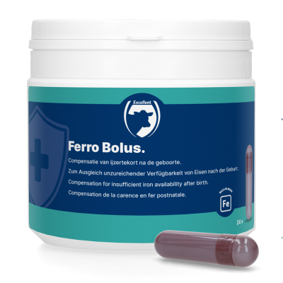 Ferro Bolus (24 x 9 gram)
