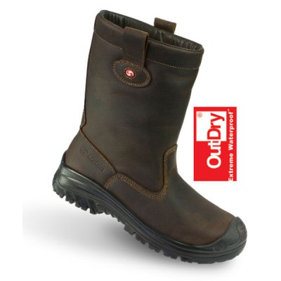 Sixton Montana WOL outdry bruin