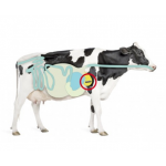 Topro Opti Trace Cow Bolus (12 x 120 gram)