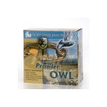 Prowler Owl