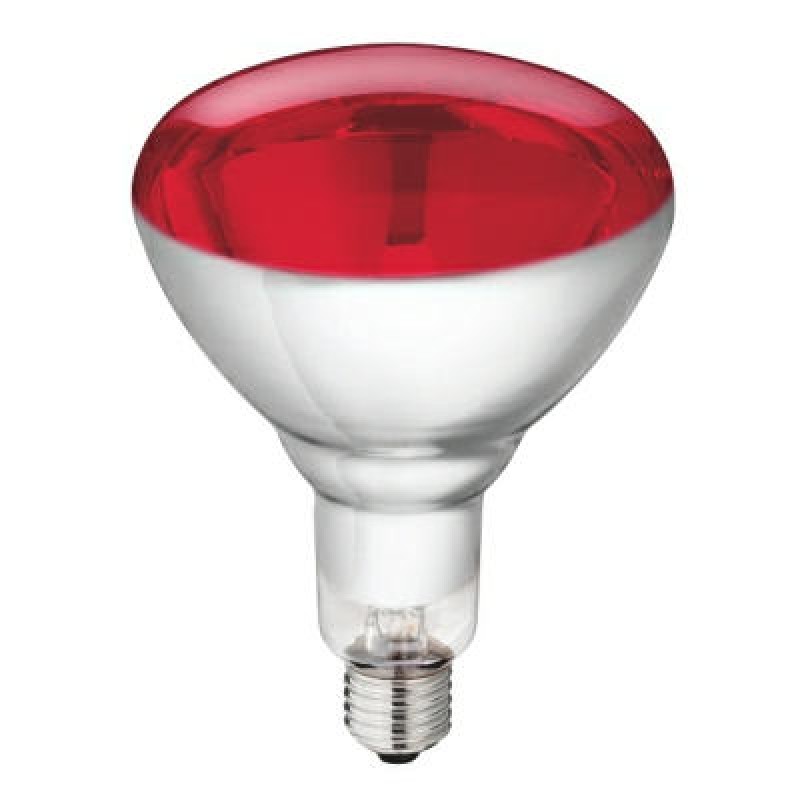 Basistheorie Alternatief voorstel Begrip Warmtelamp rood (150 Watt)