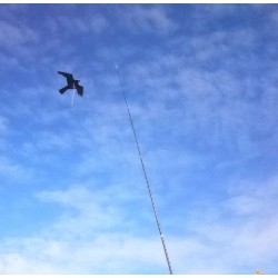 Birdscare Kite compleet 7 meter