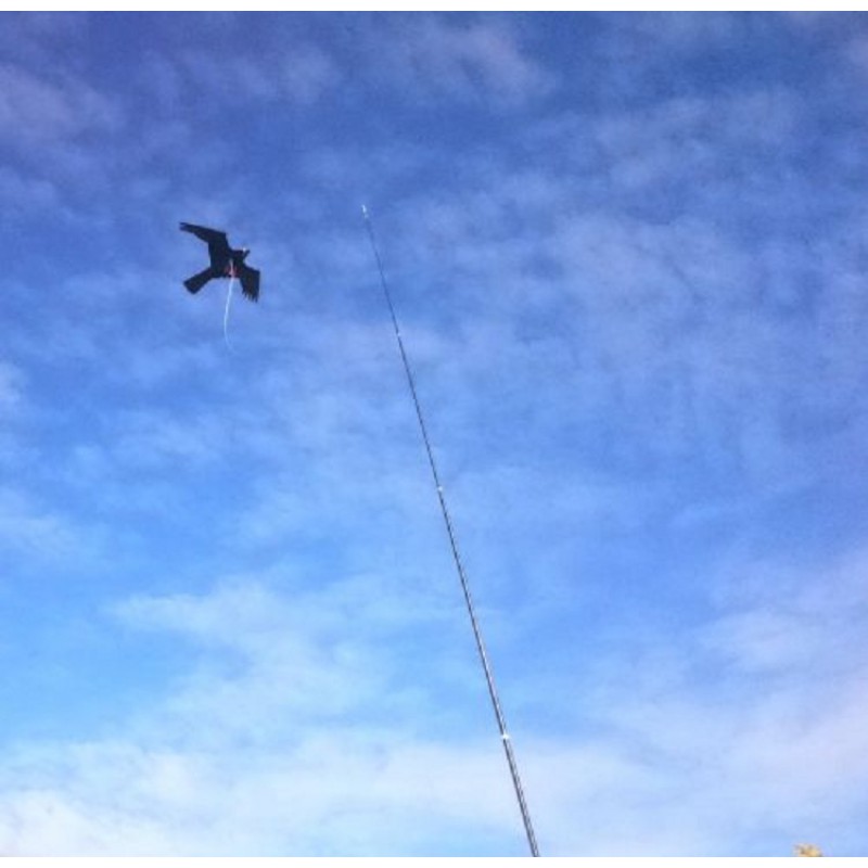 bezoeker Kapitein Brie baseren Birdscare Kite compleet 7 meter