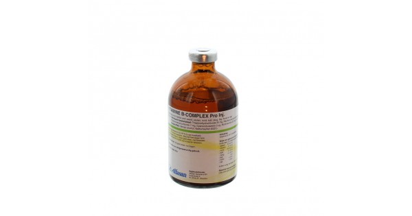 Spektakel Hen het formulier Vitamine B-Complex Injectie (100 ml)