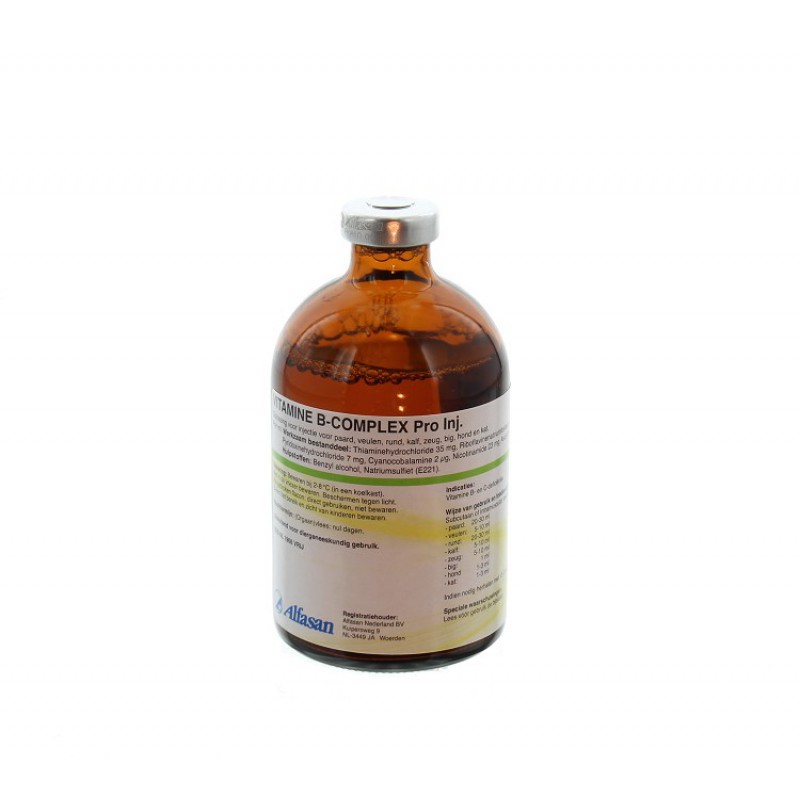 afstuderen mooi Trouwens Vitamine B-Complex Injectie (100 ml)